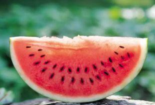 zb1吃瓜占卜,揭秘神秘命运的趣味解读