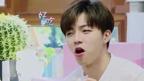 陈立农每日吃瓜,瓜田里的美食探索之旅