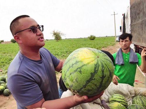 热门吃瓜新闻素材,揭秘最新吃瓜大事件！