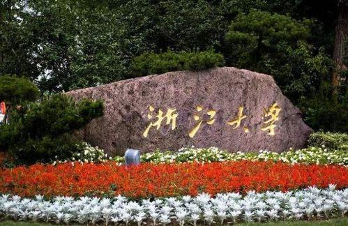 浙江大学吃瓜,揭秘“吃瓜”背后的故事