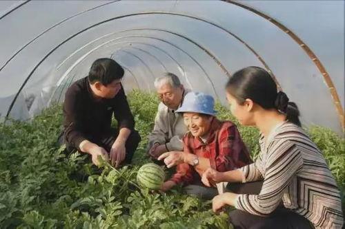 在维吾尔吃瓜,瓜果飘香的夏日盛宴