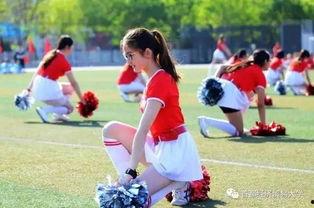 校园吃情侣瓜,揭秘校园情侣瓜的甜蜜秘密