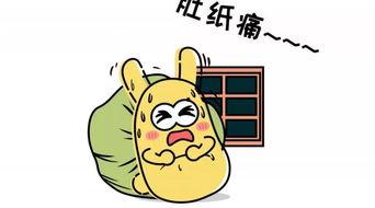 吃瓜群众9526,网络红人的崛起与影响力