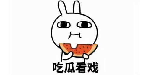 吃瓜被骗段子文案,那些让人哭笑不得的被骗段子