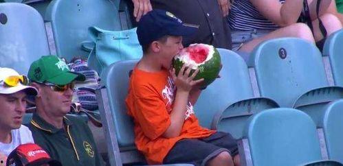 看球赛吃瓜,品瓜香，尽享激情盛宴