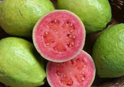 芭乐吃瓜,揭秘娱乐圈的甜蜜与苦涩