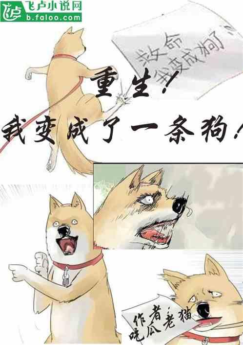 吃瓜住户小说,吃瓜住户的邻里风云