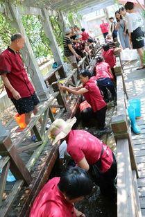 员工摸鱼吃瓜视频,员工吃瓜视频引发热议