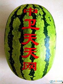 硒砂瓜有水晶瓜吗怎么吃,独特口感与美味吃法的探索