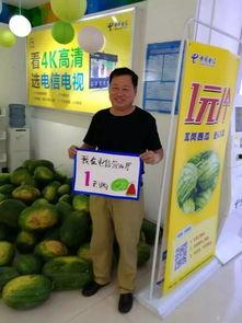 驻马店阿飞吃瓜,揭秘吃瓜群众的日常生活与趣味