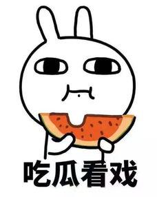 吃瓜要带脑啊,揭秘网络舆论背后的真相与思考