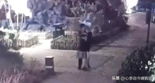 泗水吃瓜事件详解视频,揭秘背后真相与争议