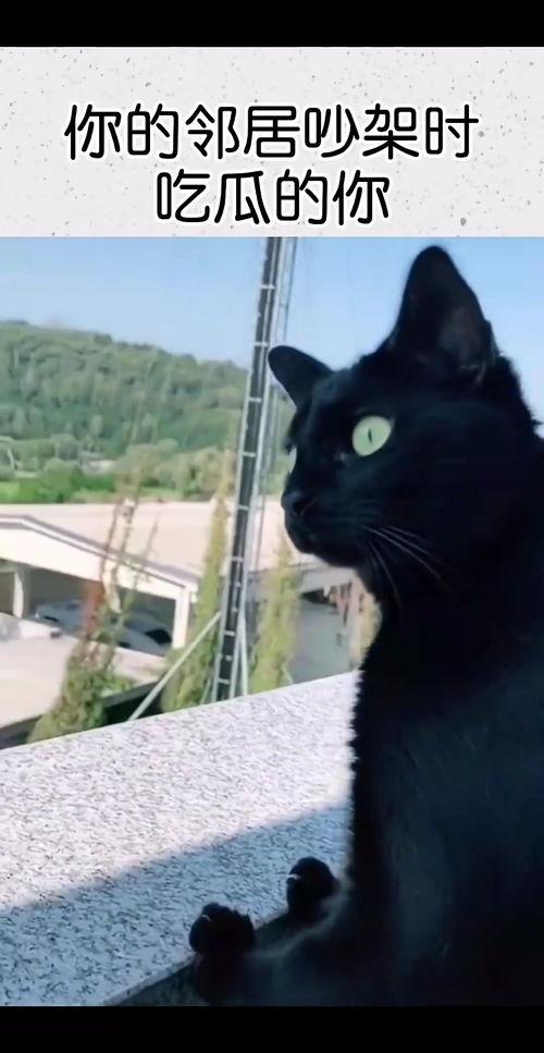 吃邻居吵架的瓜,一场因吃瓜引发的争吵风云