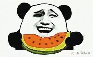 信笔由缰 吃瓜群众,揭秘网络舆论场的狂欢与反思