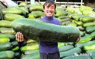 阿起阿飞吃瓜,娱乐圈幕后真相曝光